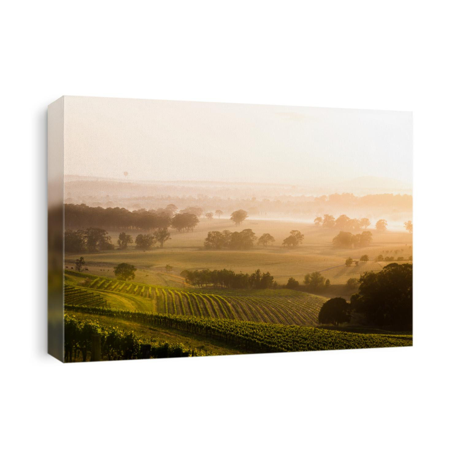 Sunrise over Hunter Valley vineyards
