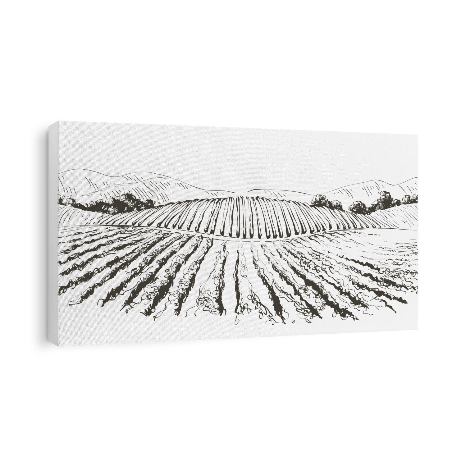 Vine plantation hills landscape. Drawing of rows of vineyards with wine stains.  Vector line sketch illustration