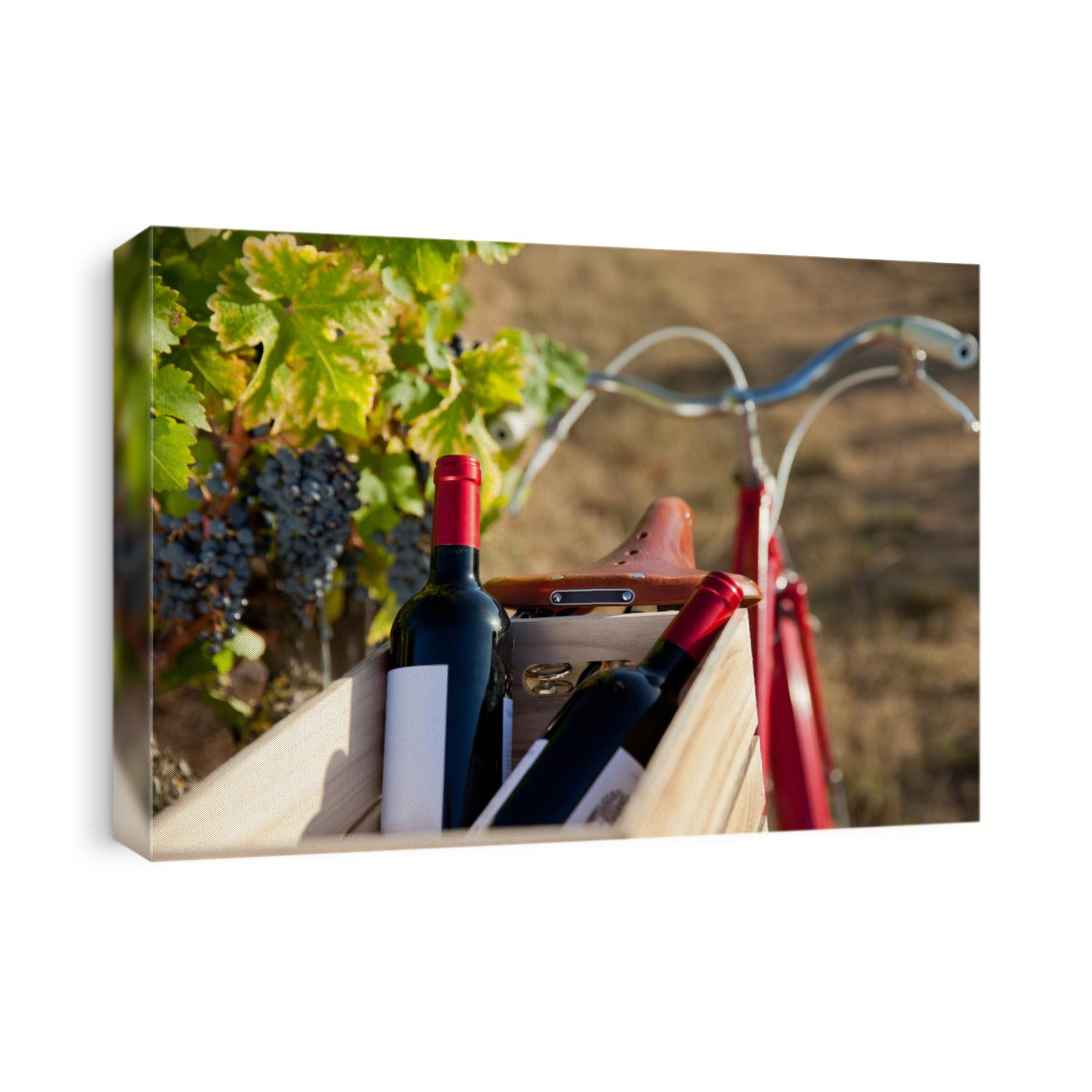 Bottle of red wine in a case of wine in the middle of the vines.
