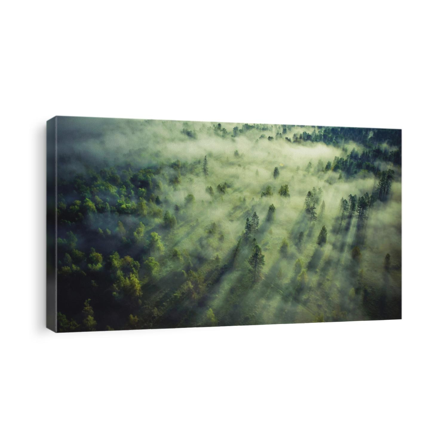 Landscape misty. Fantastic dreamy sunrise on rocky mountains with view into misty valley below. Foggy clouds above forrest. View below to fairy landscape. Foggy forest hills.