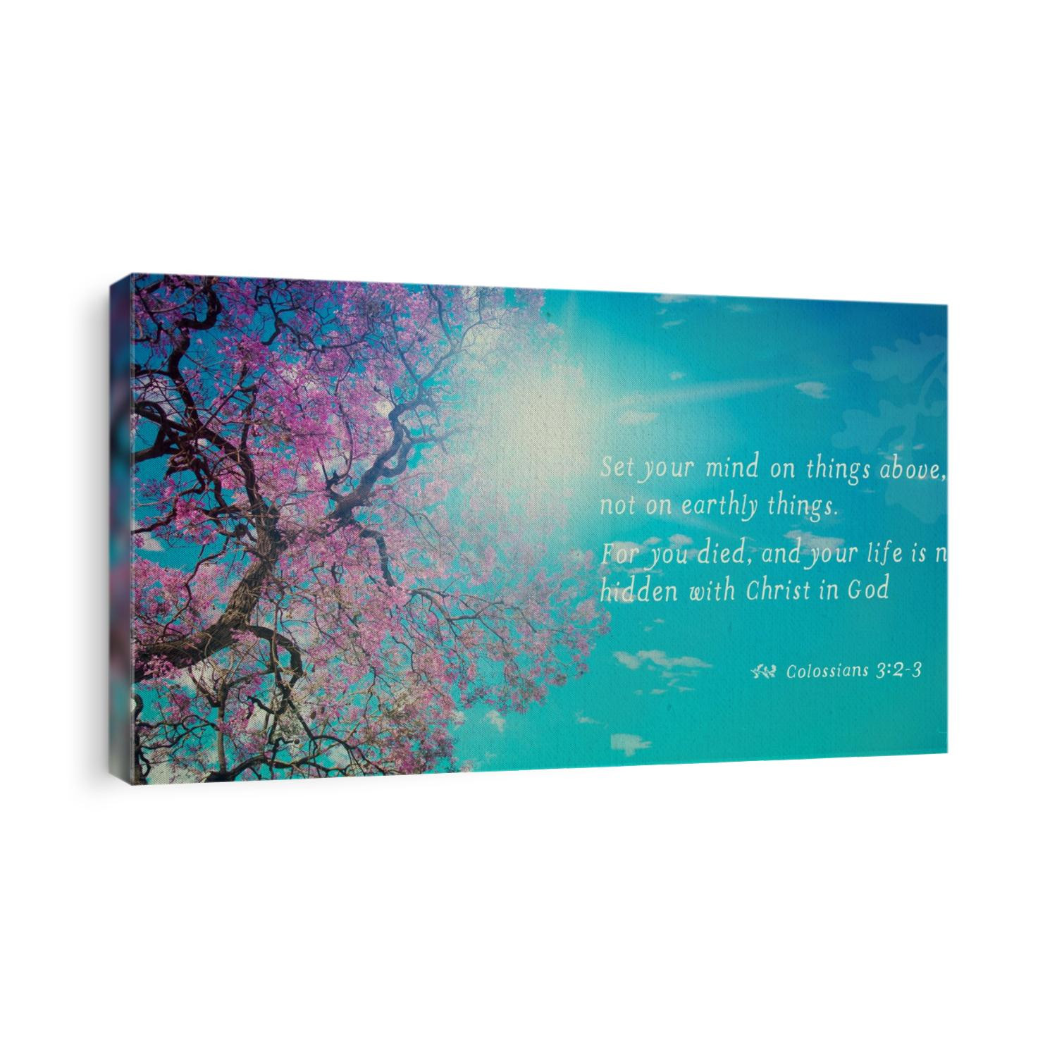 Sun shining through above cherry blossom tree in blue sky with Colossians 3:2-3