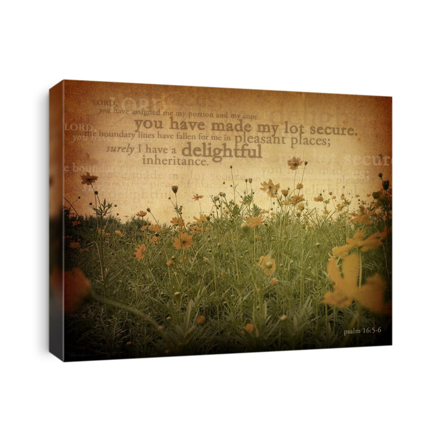 Vintage wildflowers against creamy morning sky with Psalm 16:5-6
