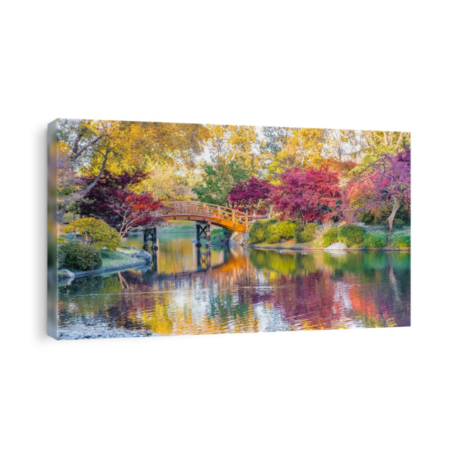 View of beautiful Japanese garden in Midwestern botanical garden in fall; traditional Japanese bridge in the background