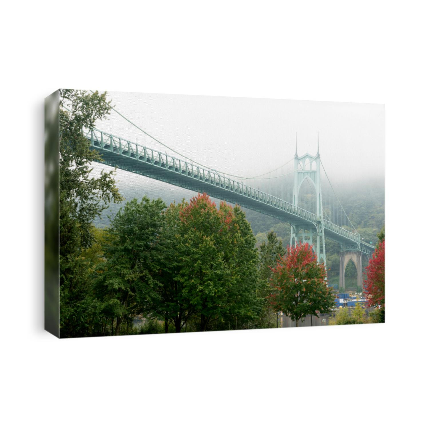 This is the St Johns Bridge in Portland, Oregon.  I took this picture in early autumn when the fog was lifting.  