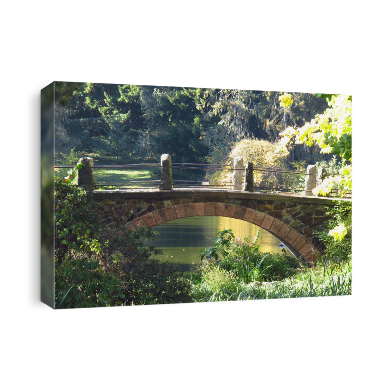 Small bridge in Berlin's Botanic Garden