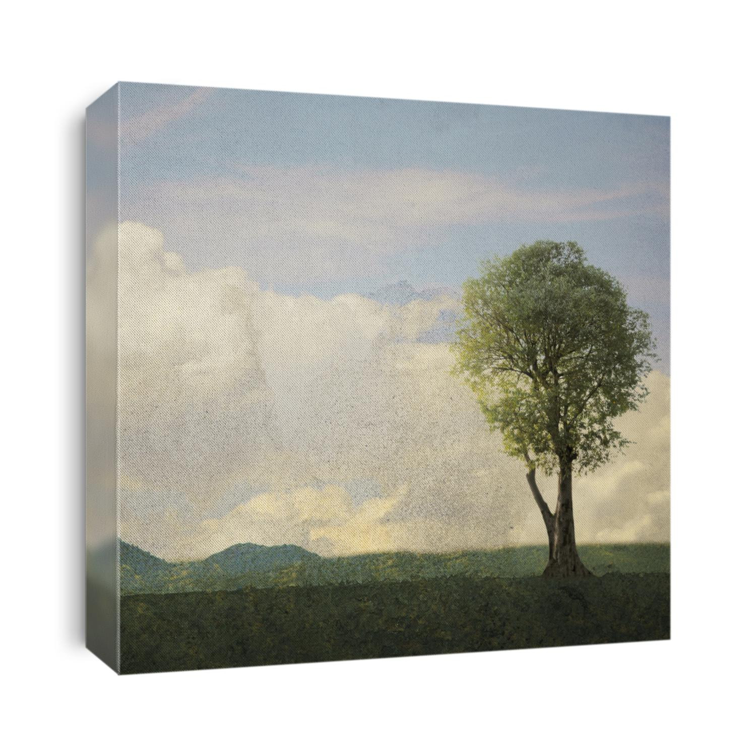Hackberry tree in landscape with mountains and cloudy sky. Copy space.