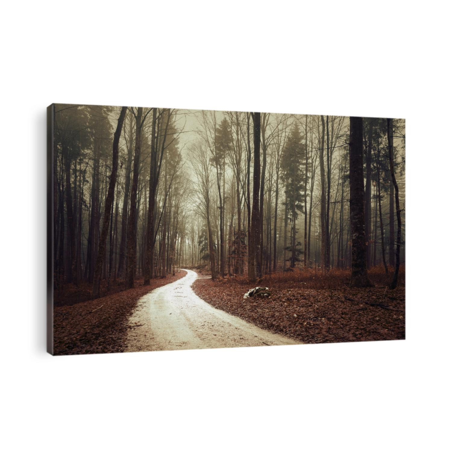 Beautiful brown colored foggy woodland with forest road. 