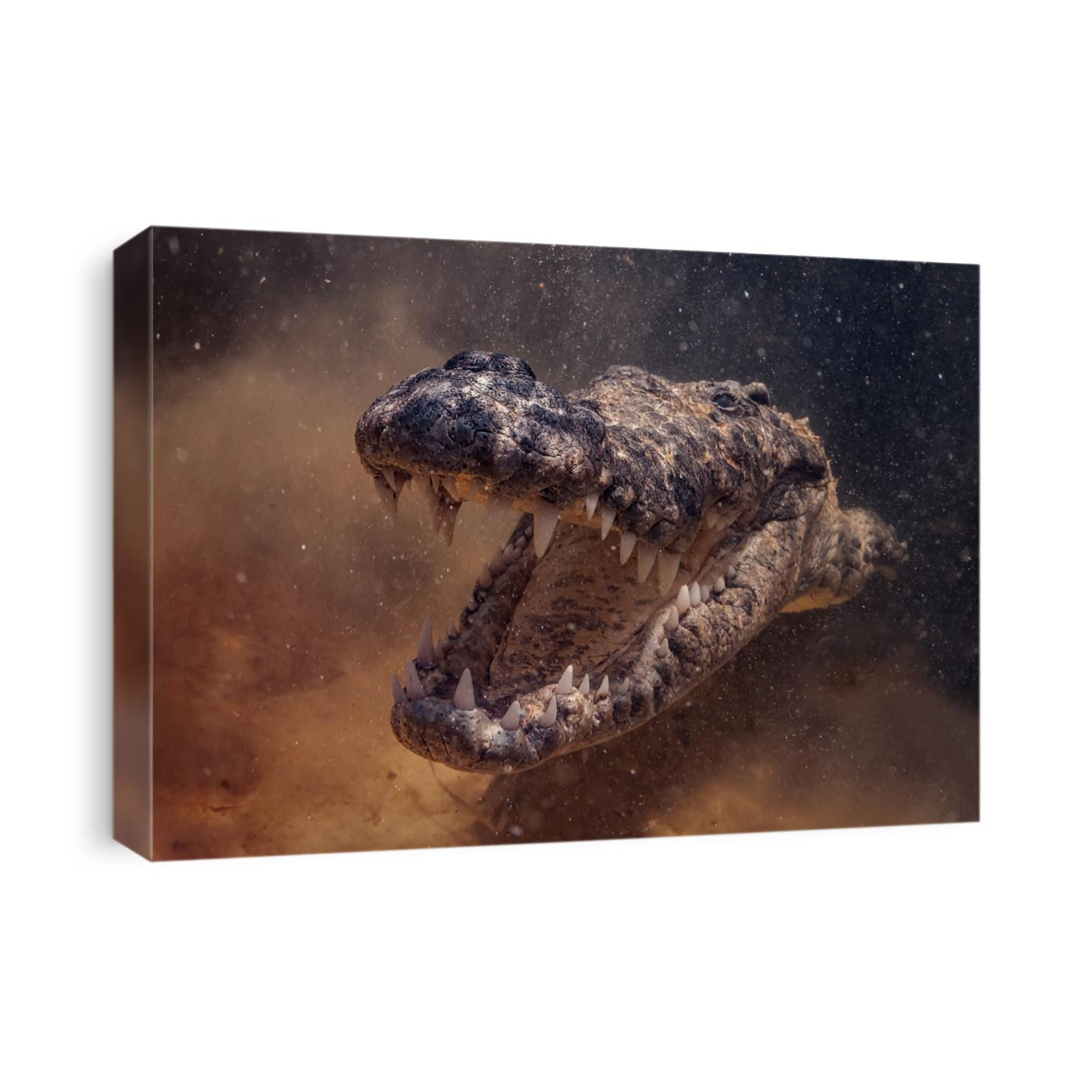 Salt water crocodile