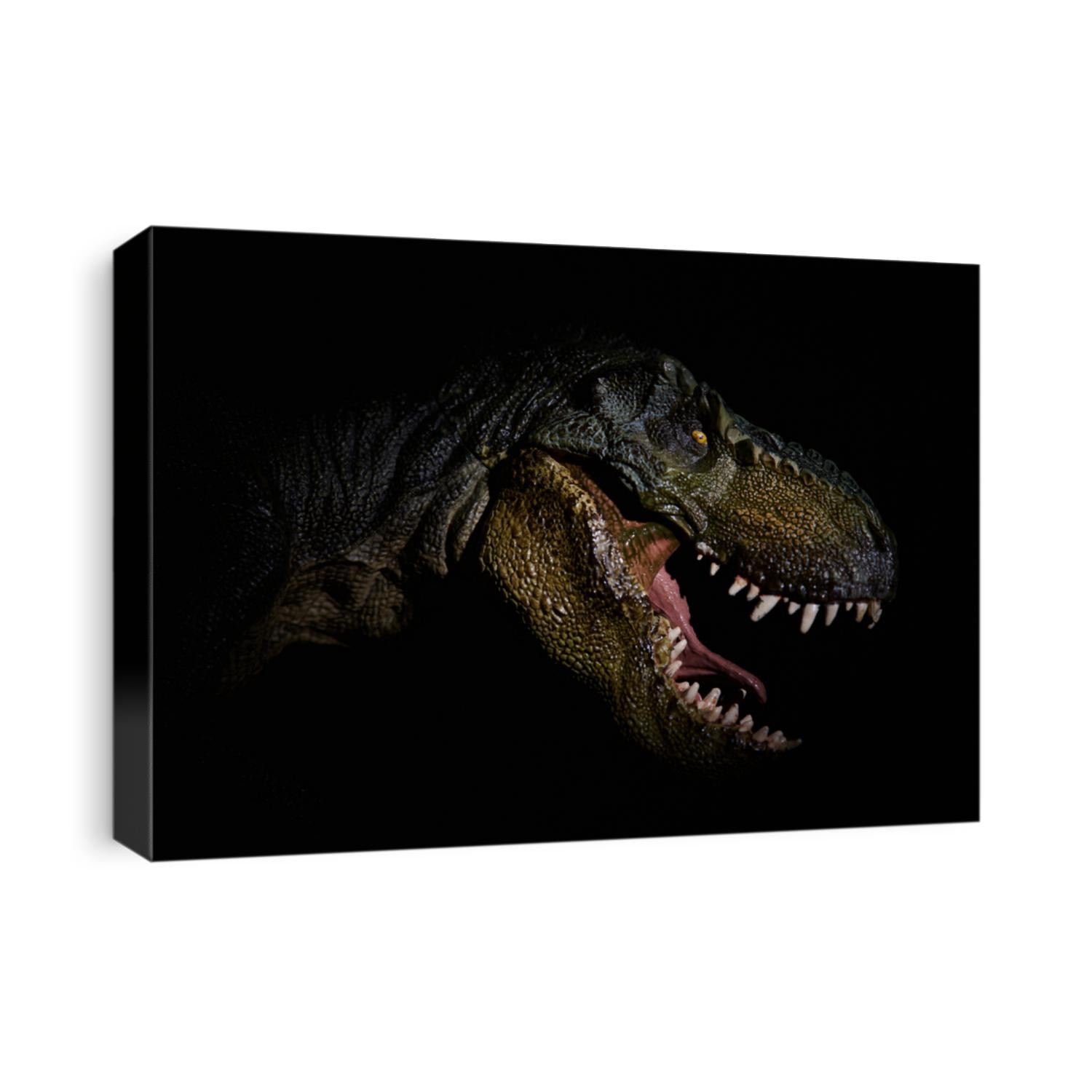 The head of dinosaur in the dark background