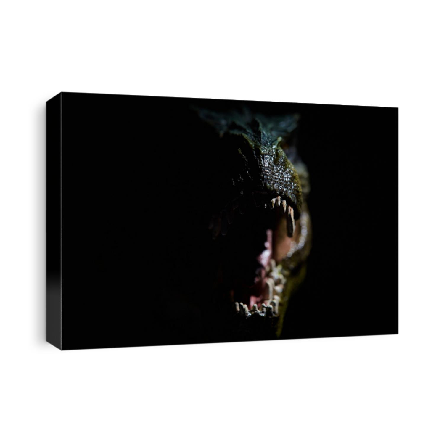The head of dinosaur in the dark background