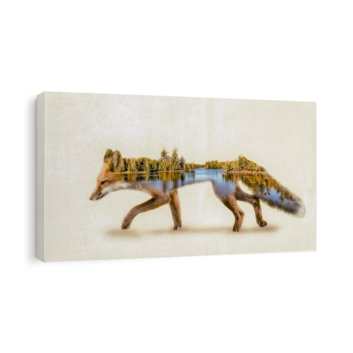 Double exposure of a red fox and it's habitat
