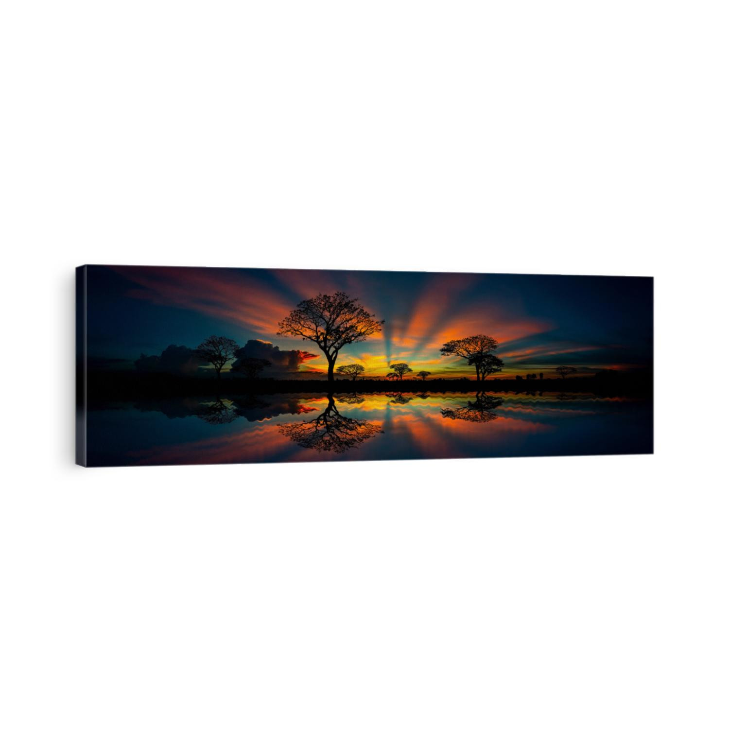 Panorama silhouette tree in africa with sunset.Tree silhouetted against a setting sun reflection on water.Typical african sunset with acacia trees in Masai Mara, Kenya.