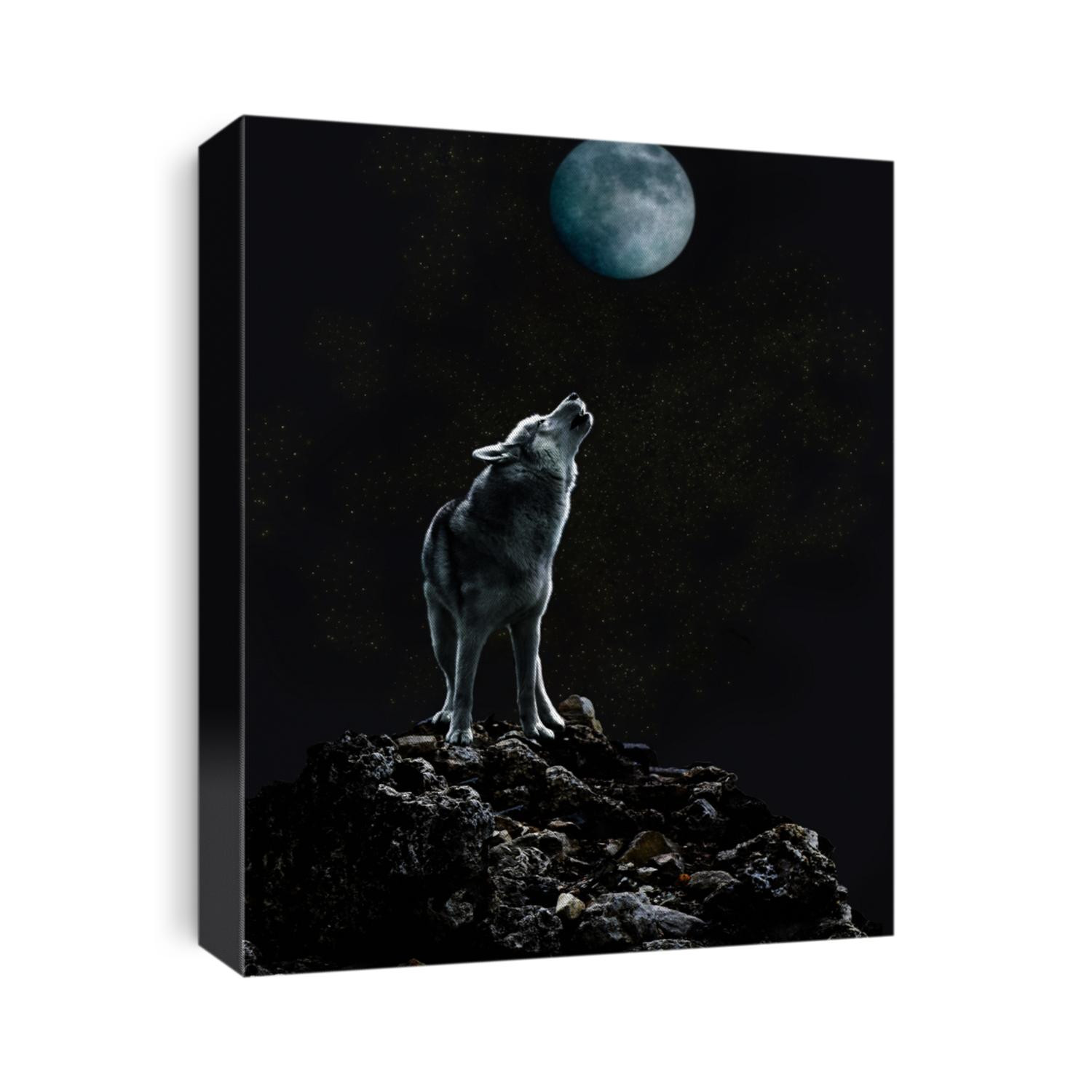 Wolf howls at the moon on a dark night