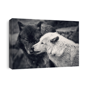 Wolves