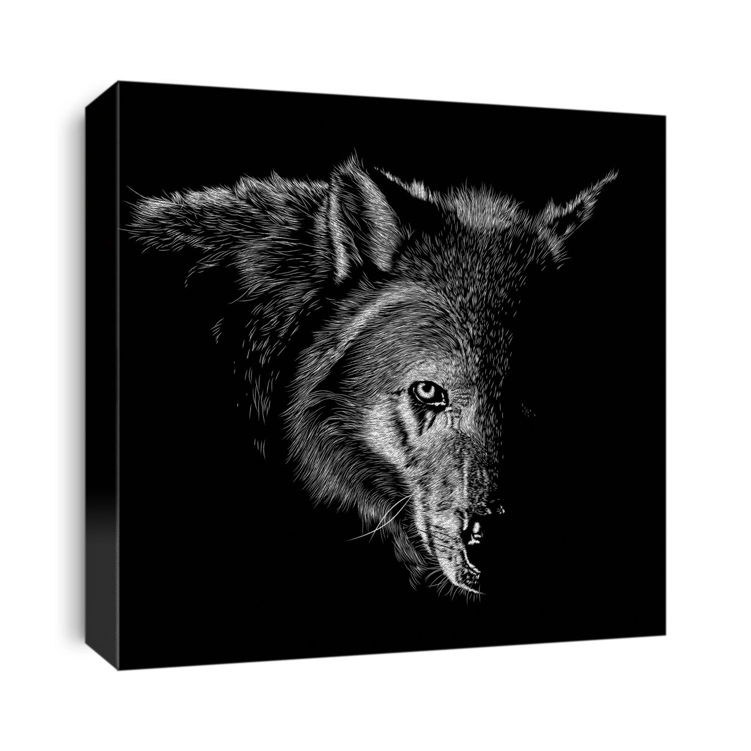 Wolf animal illustration, nature conservation vector