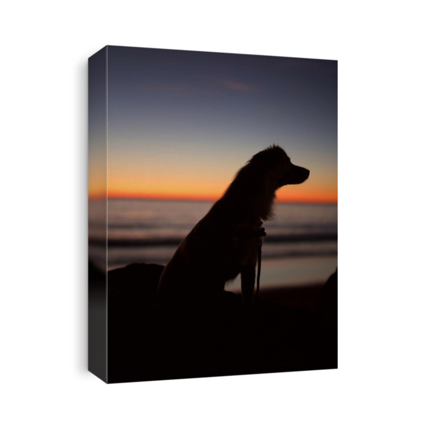 Dog enjoying a beautiful California beach sunset.
