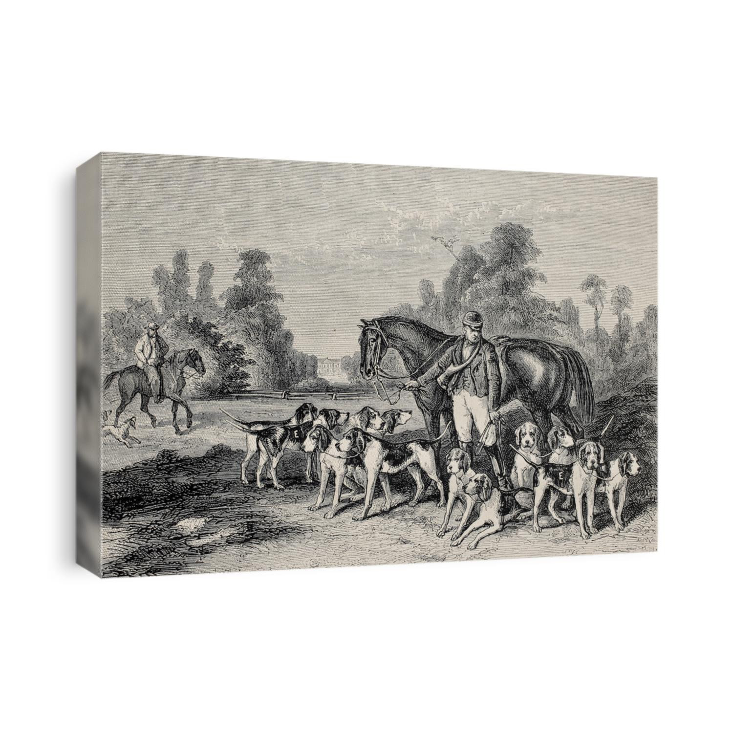 Antique illustration of hunting dog pack .From drawing of Duvaux, engraved by Cosson.Smeeton, published on L'Illustration, Journal Universel, Paris, 1868