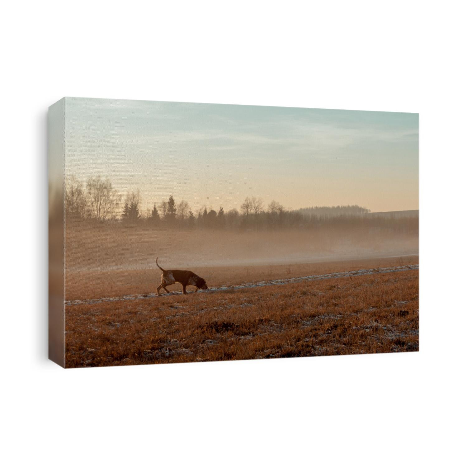 Foggy autumn landscape with a hunting dog.