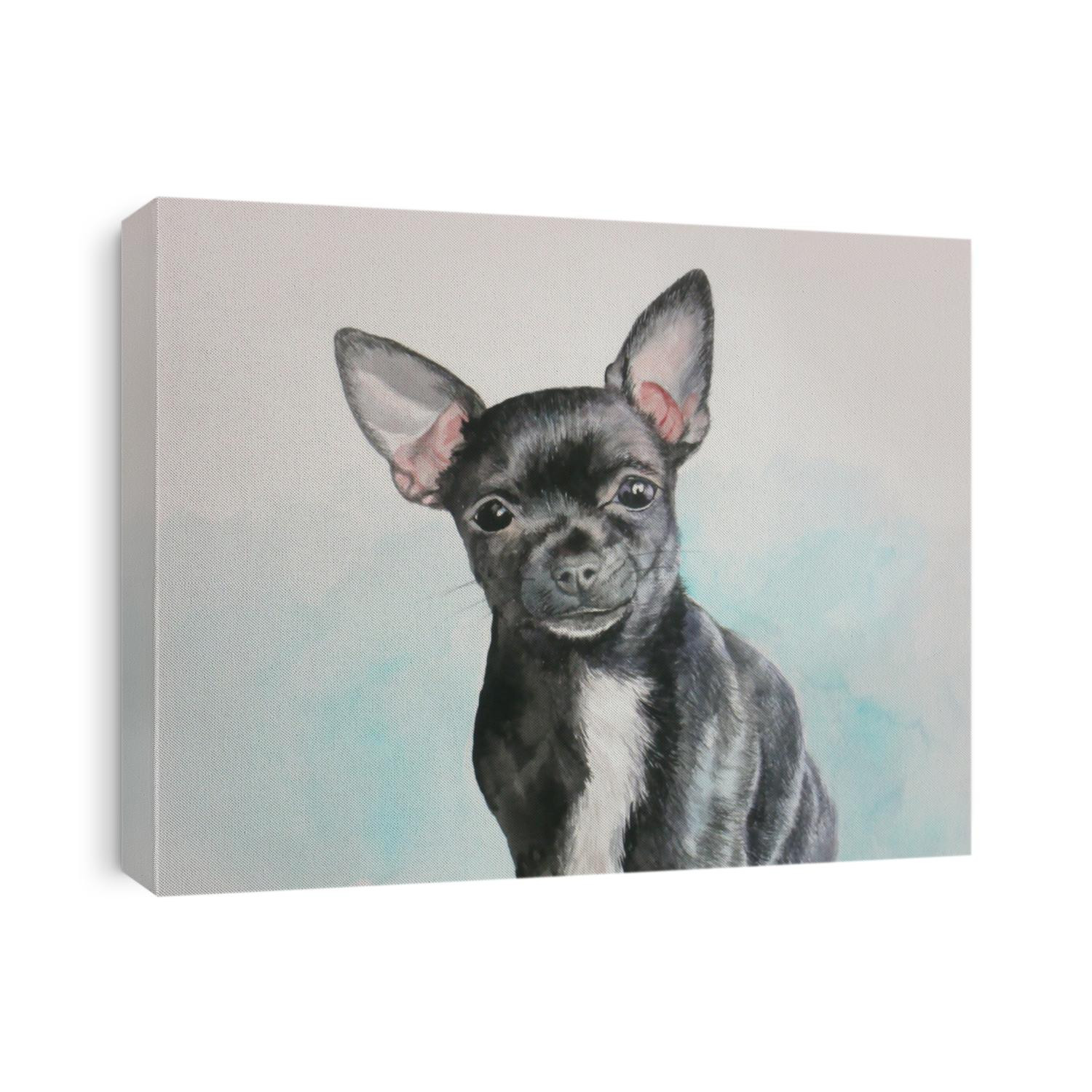 Chihuahua, black with white spot dog in watercolor painting.