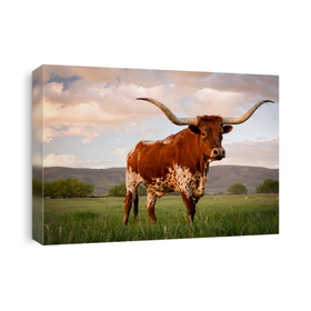 Cows & Bulls