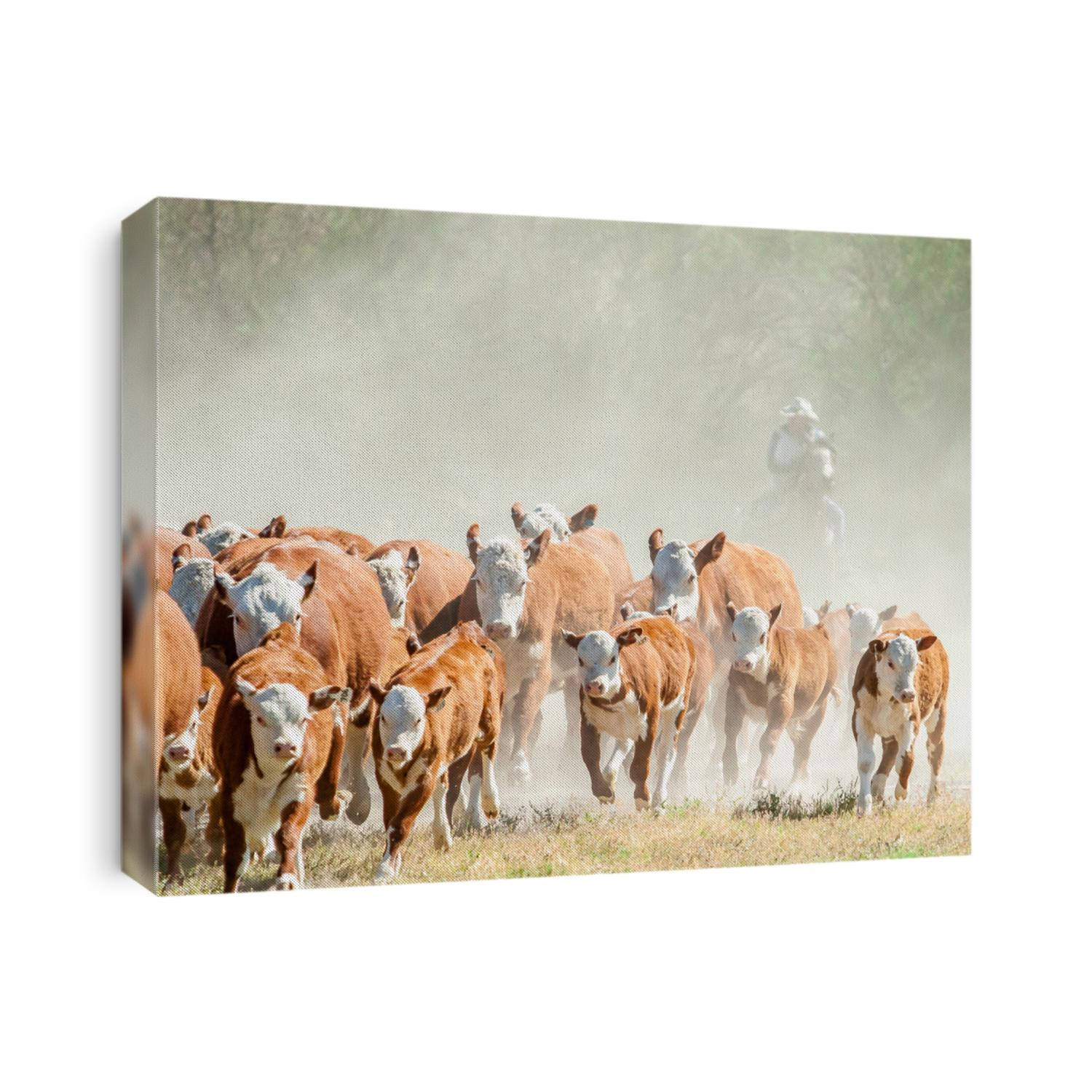 A black and white photo of a cowboy on a horse shrouded in dust pushing a small herd of cattle through a dry dusty meadow.