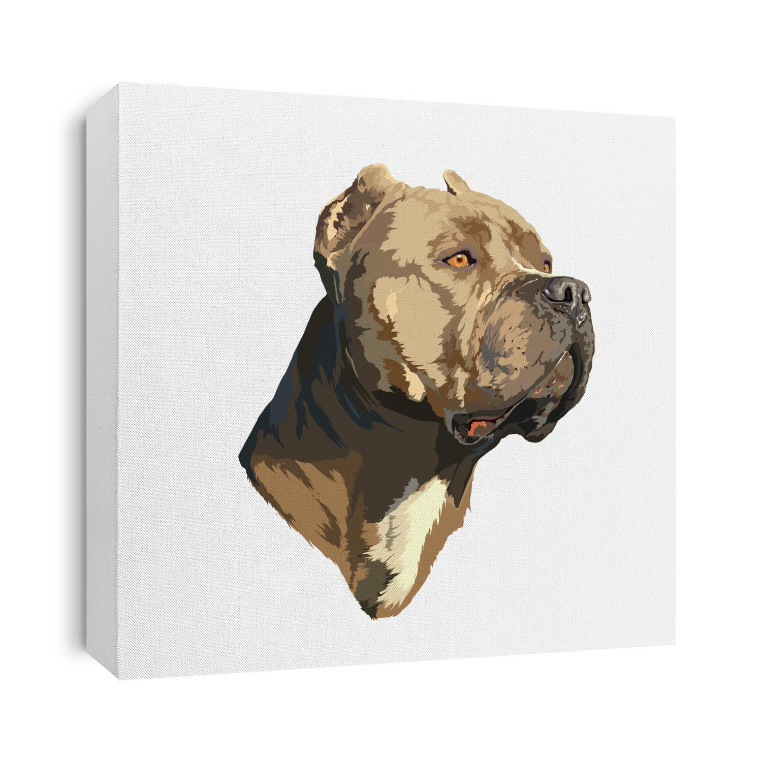 pit bull portrait