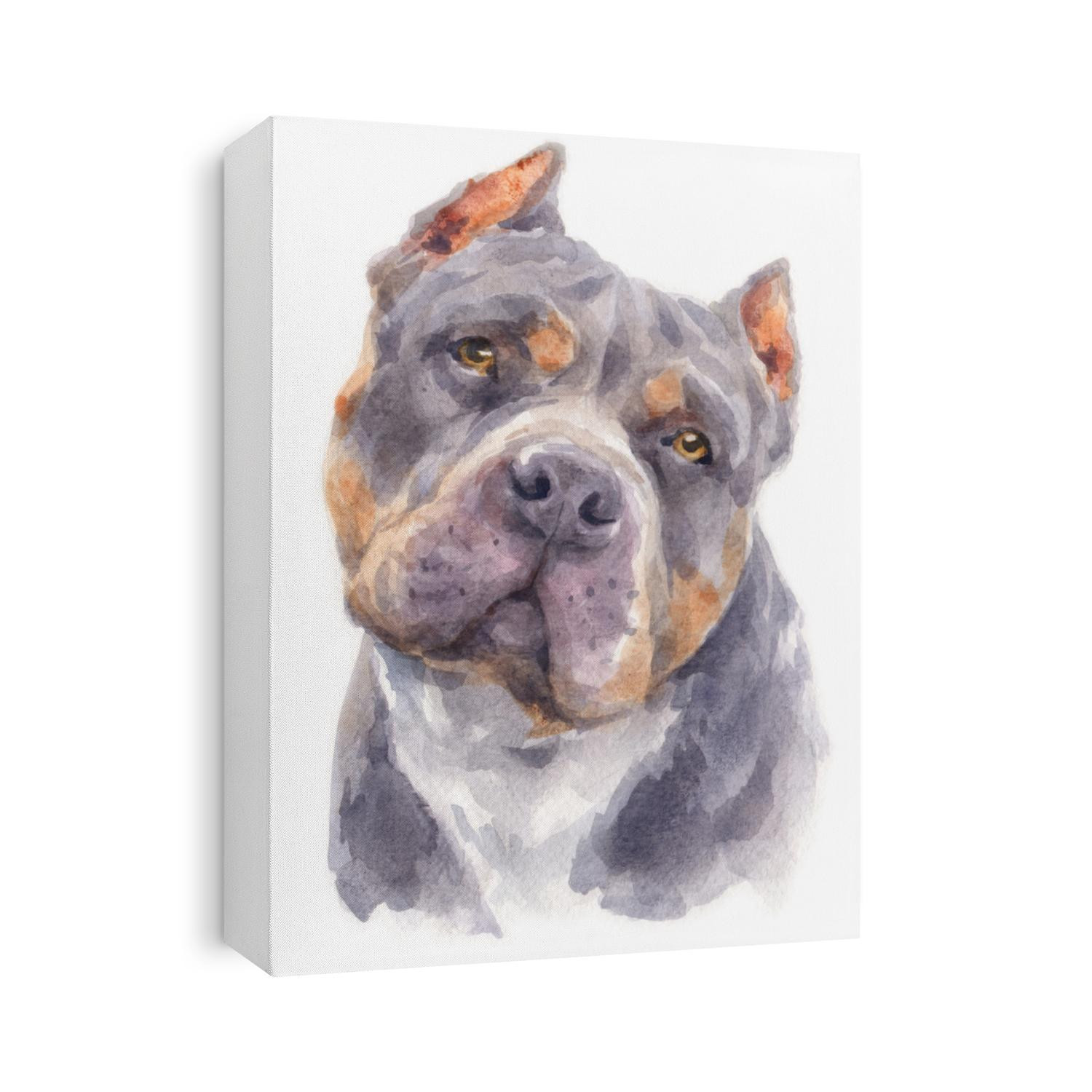 Water colour painting of Pitbull dog