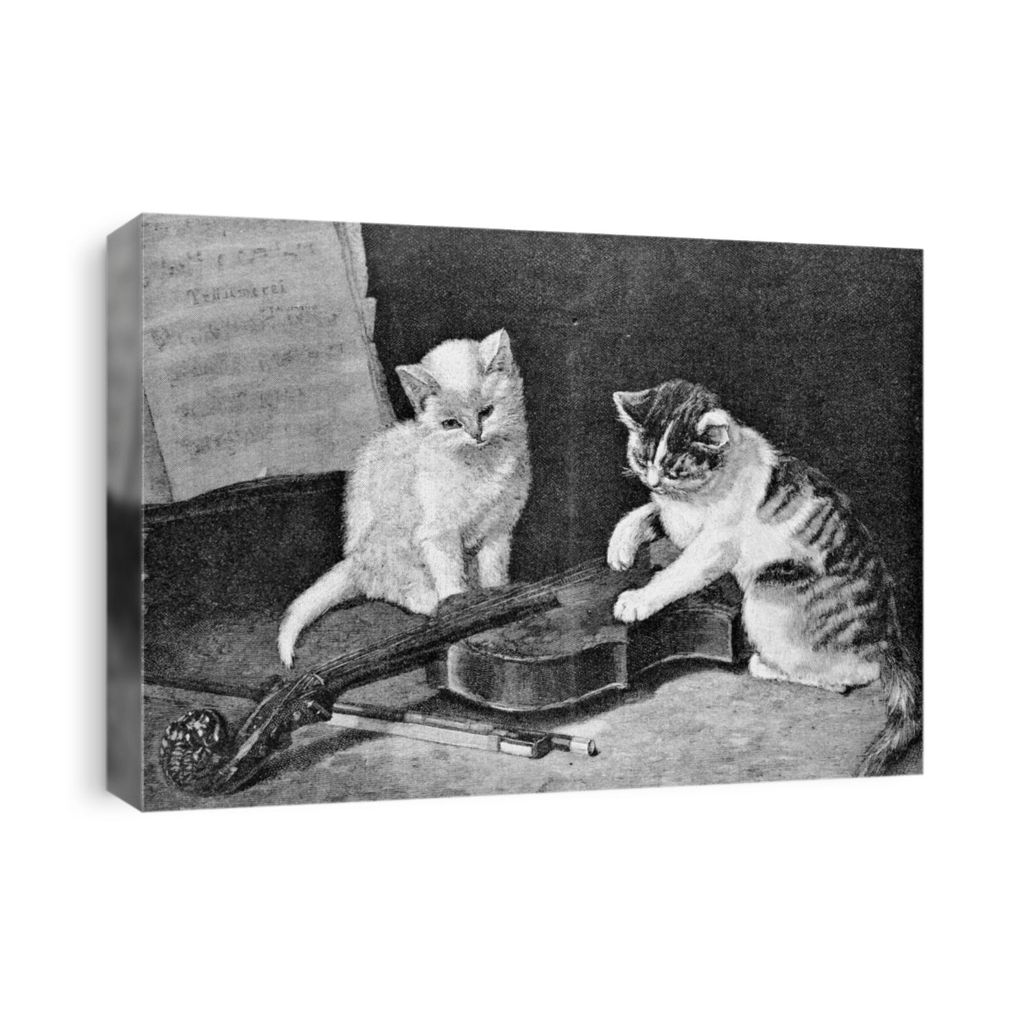Kittens. Engraving by Gedan from picture by painter Veirus. Published in magazine "Niva", publishing house A.F. Marx, St. Petersburg, Russia, 1893