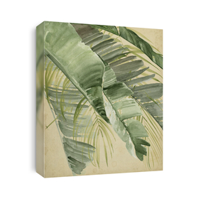Tropical