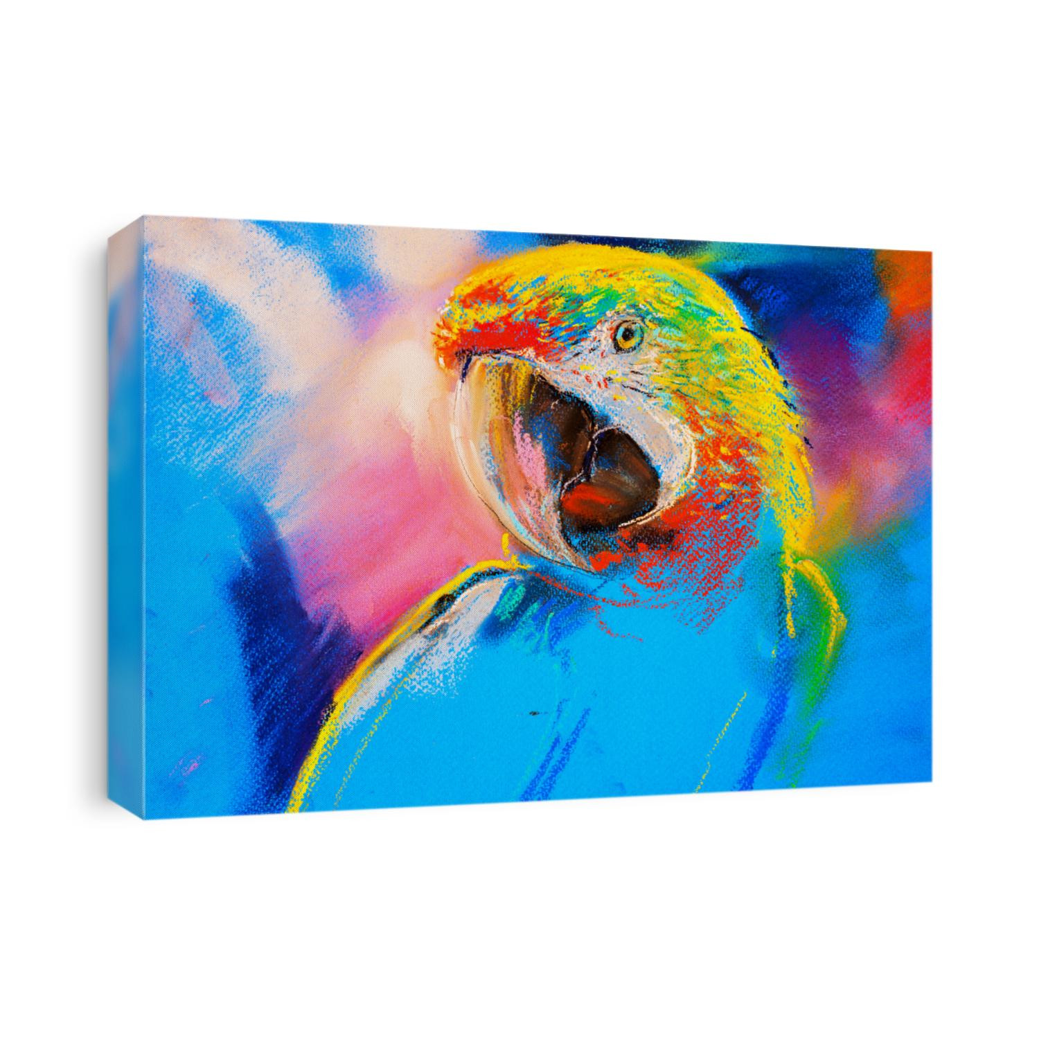 Original pastel painting on cardboard.Modern painting of a colorful parrot