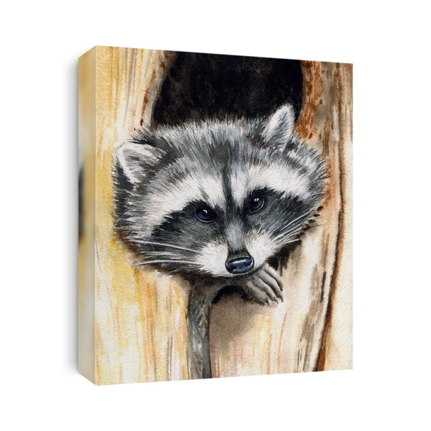 A small fluffy raccoon looks directly out of a tree hollow, painted with watercolors