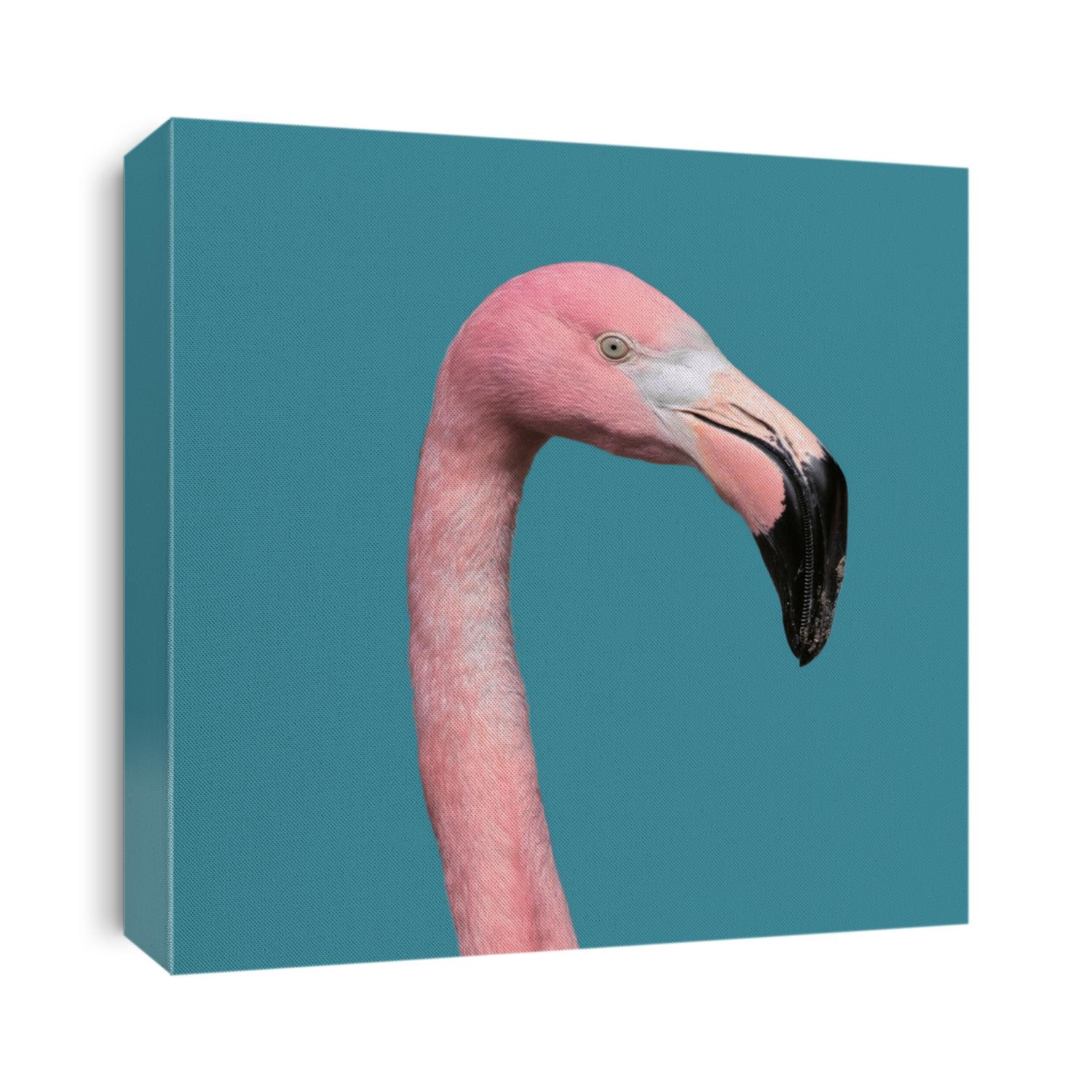 Contemporary art collage, Flamingos Lover