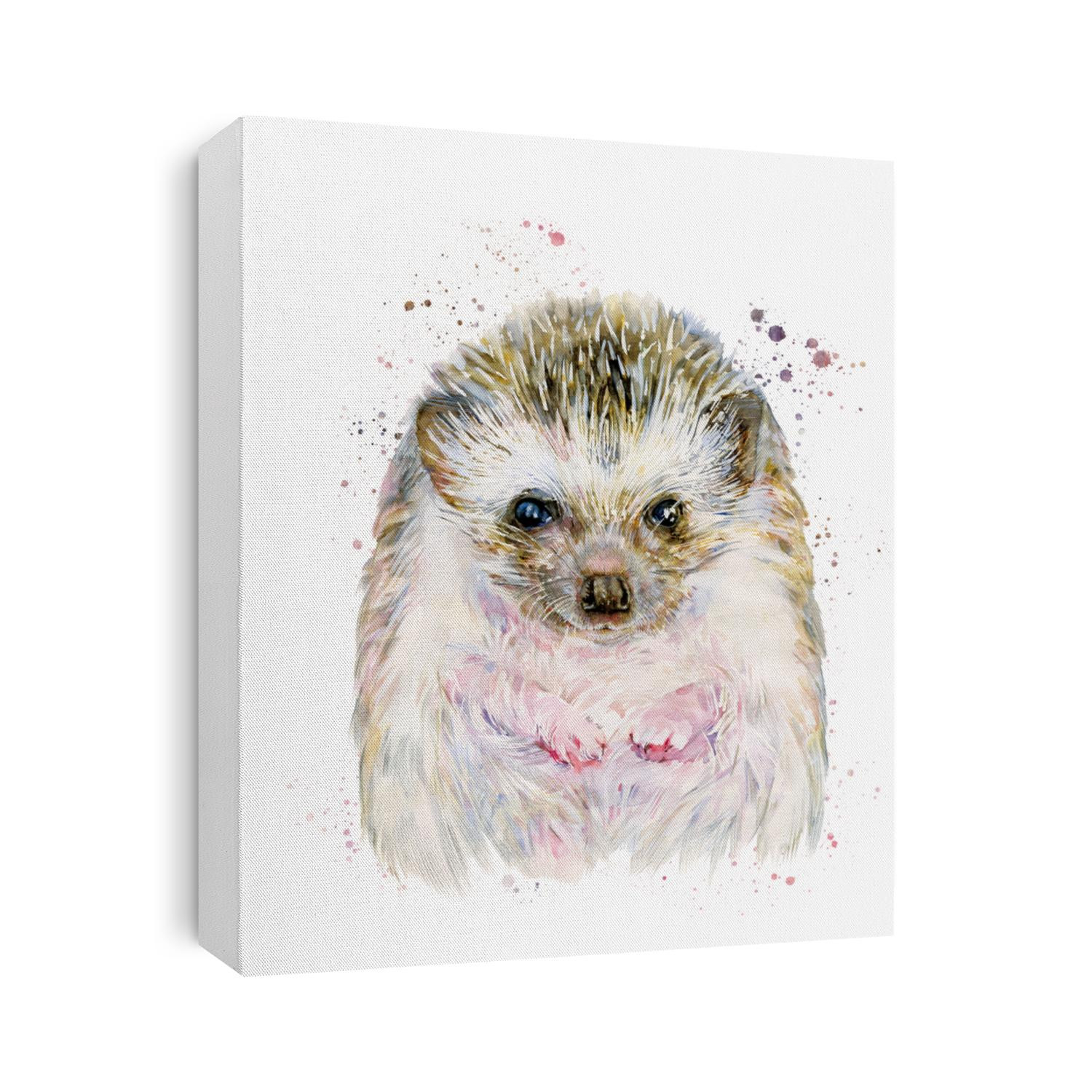 Hedgehog urchin watercolor illustration painting isolated on white background