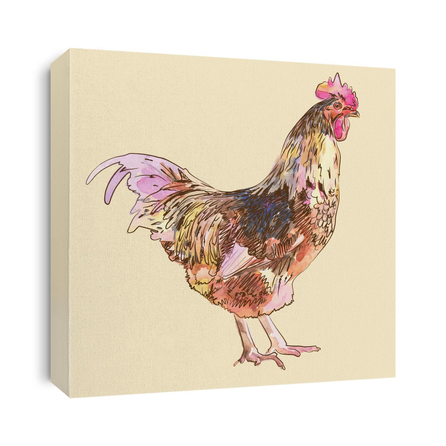 watercolor painting sketch cock
