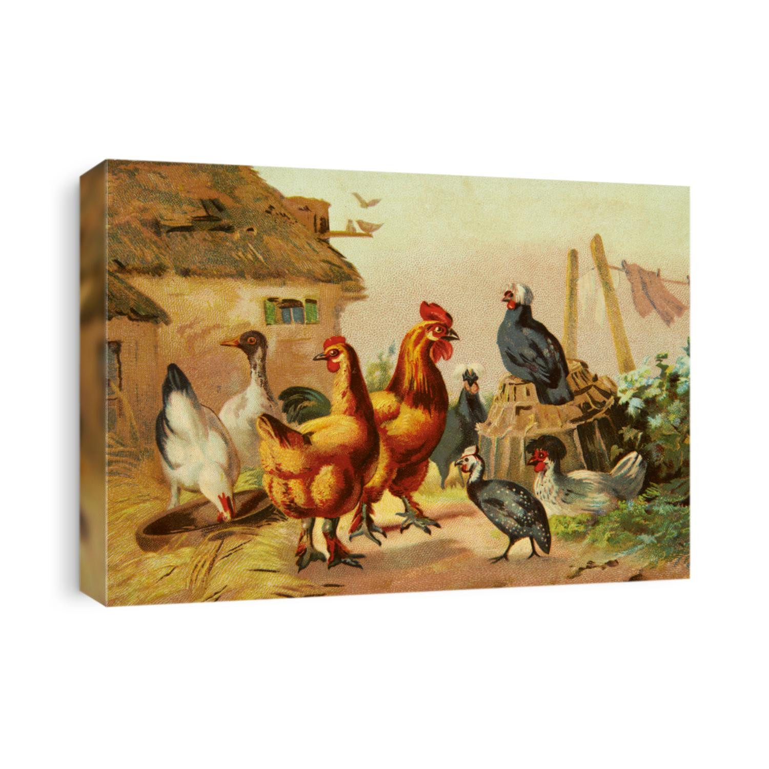 old print vintage hens