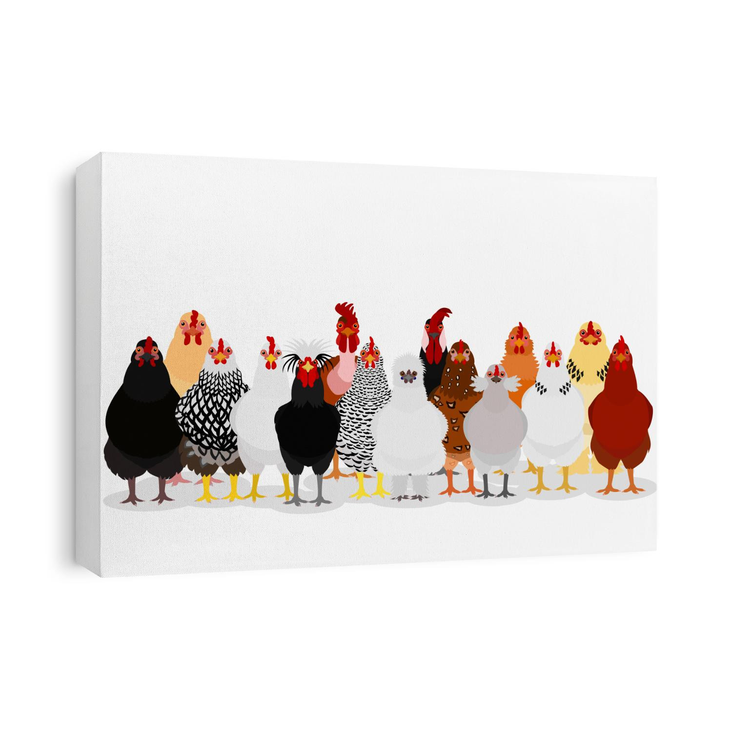various chicken group