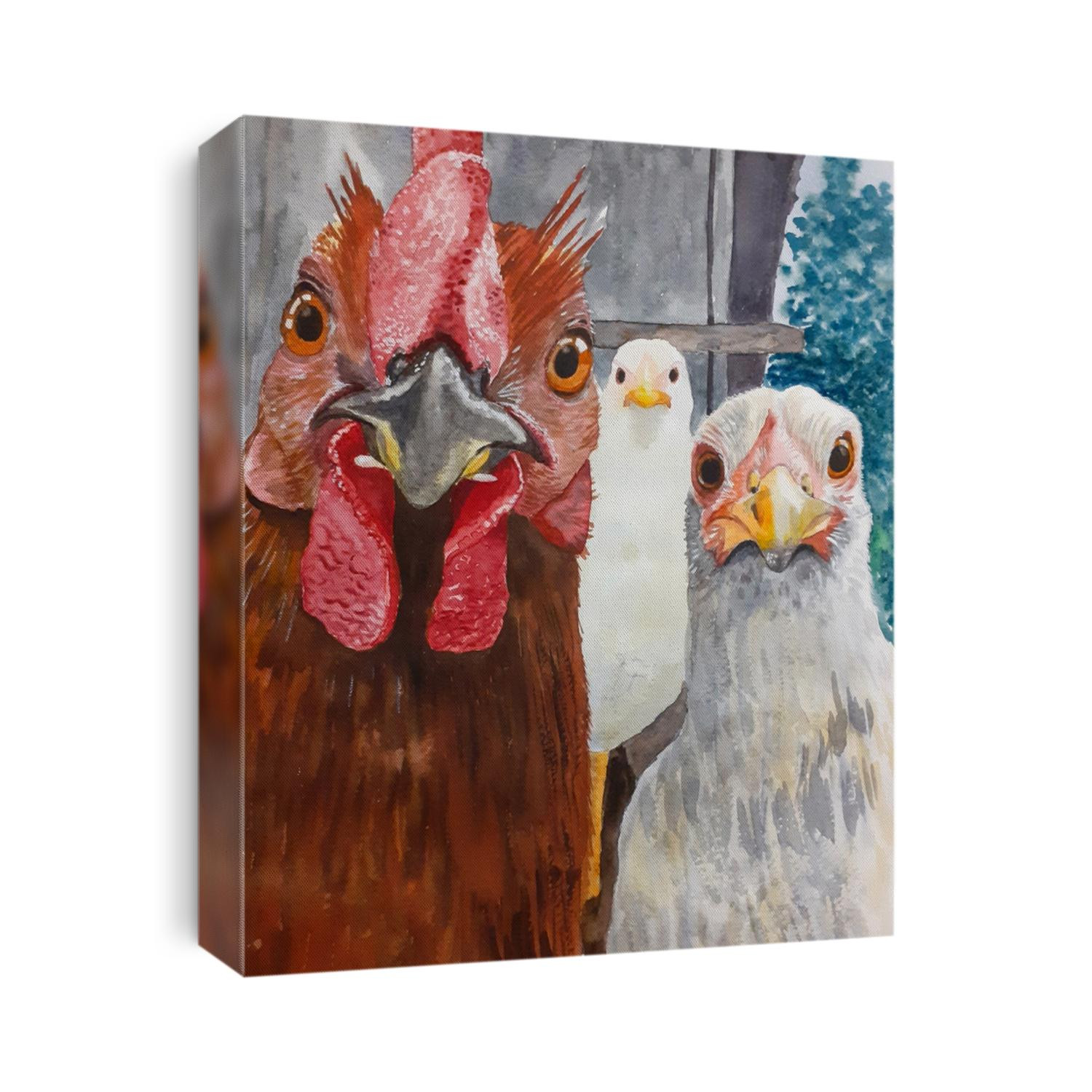 Chicken portrait in full face. Watercolor. A funny illustration. Hand-drawn. Painted. Three hens look at the camera.