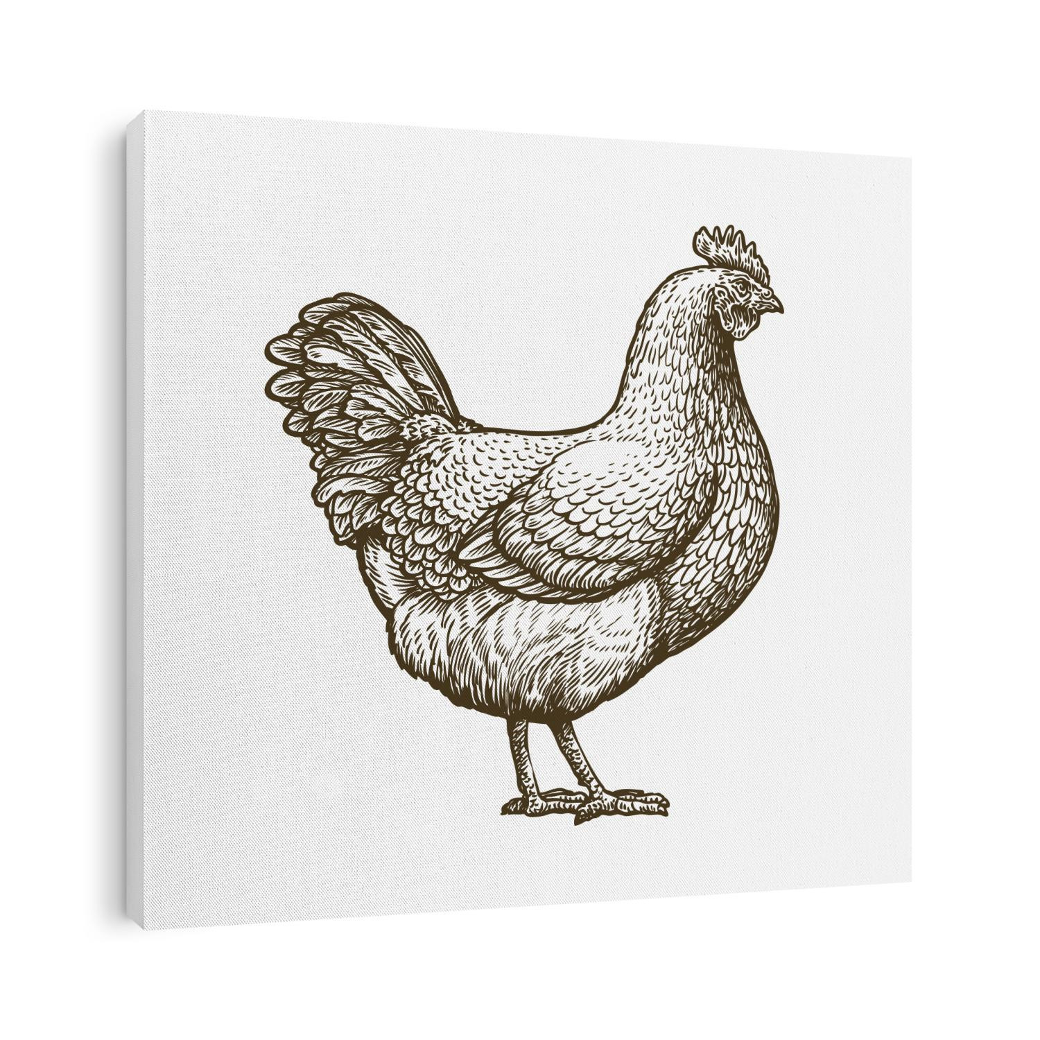 Chicken hand drawn. Hen standing side view. Farm animal sketch illustration