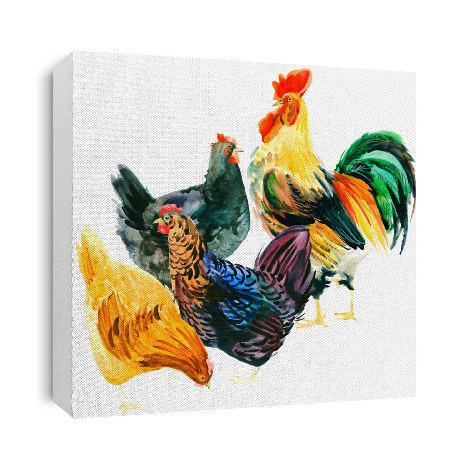 Chicken and Rooster watercolor illustration