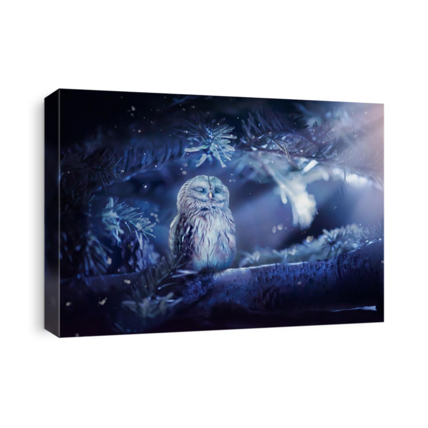 Sleeping owl in fantasy enchanted fairy tale spruce forest and moon light rays shine through the branches, funny cute bird sitting on twig of fir tree in deep dark blue fairytale fabulous magical wood