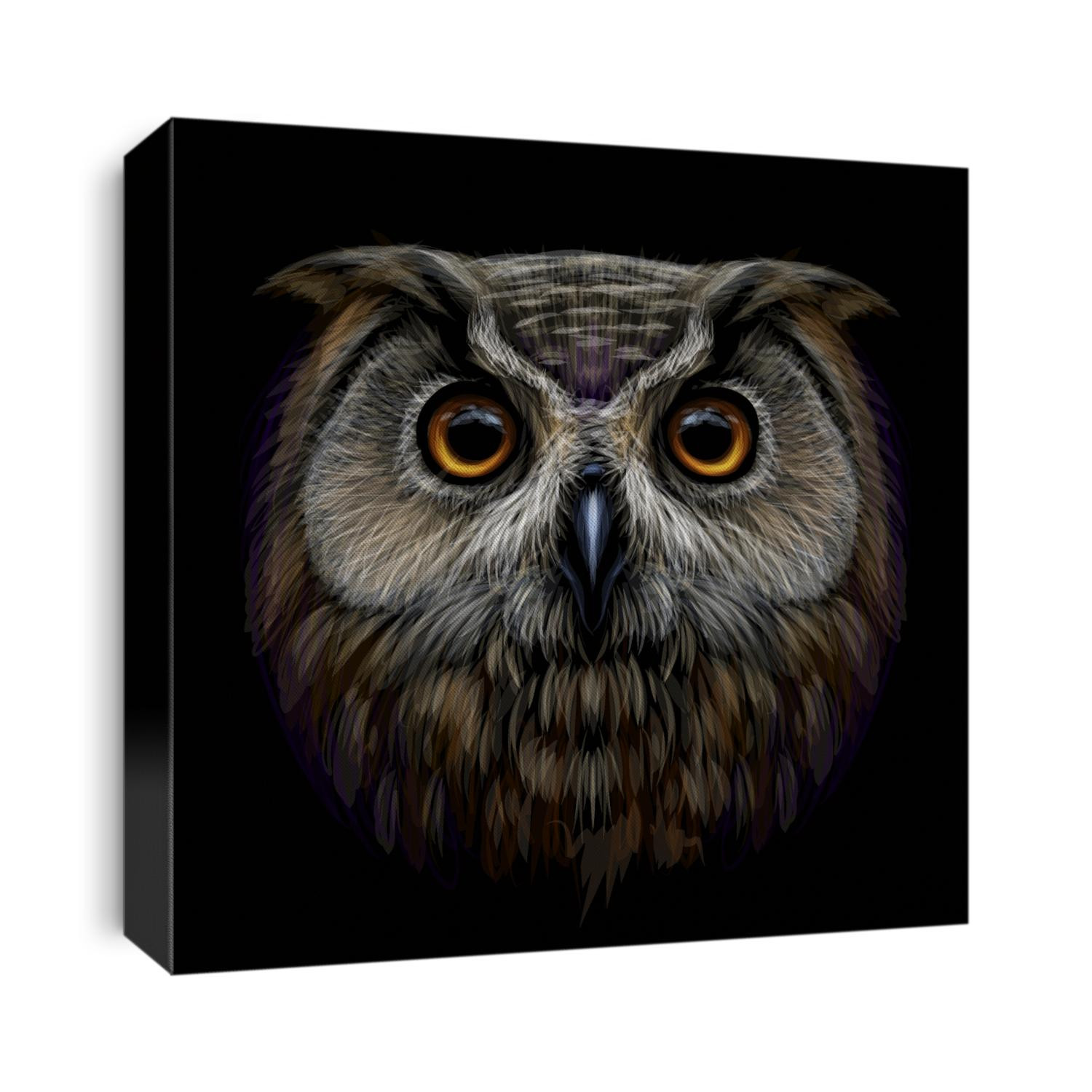 Long-eared Owl. Color, graphic  portrait of an owl on a black background. Digital vector drawing