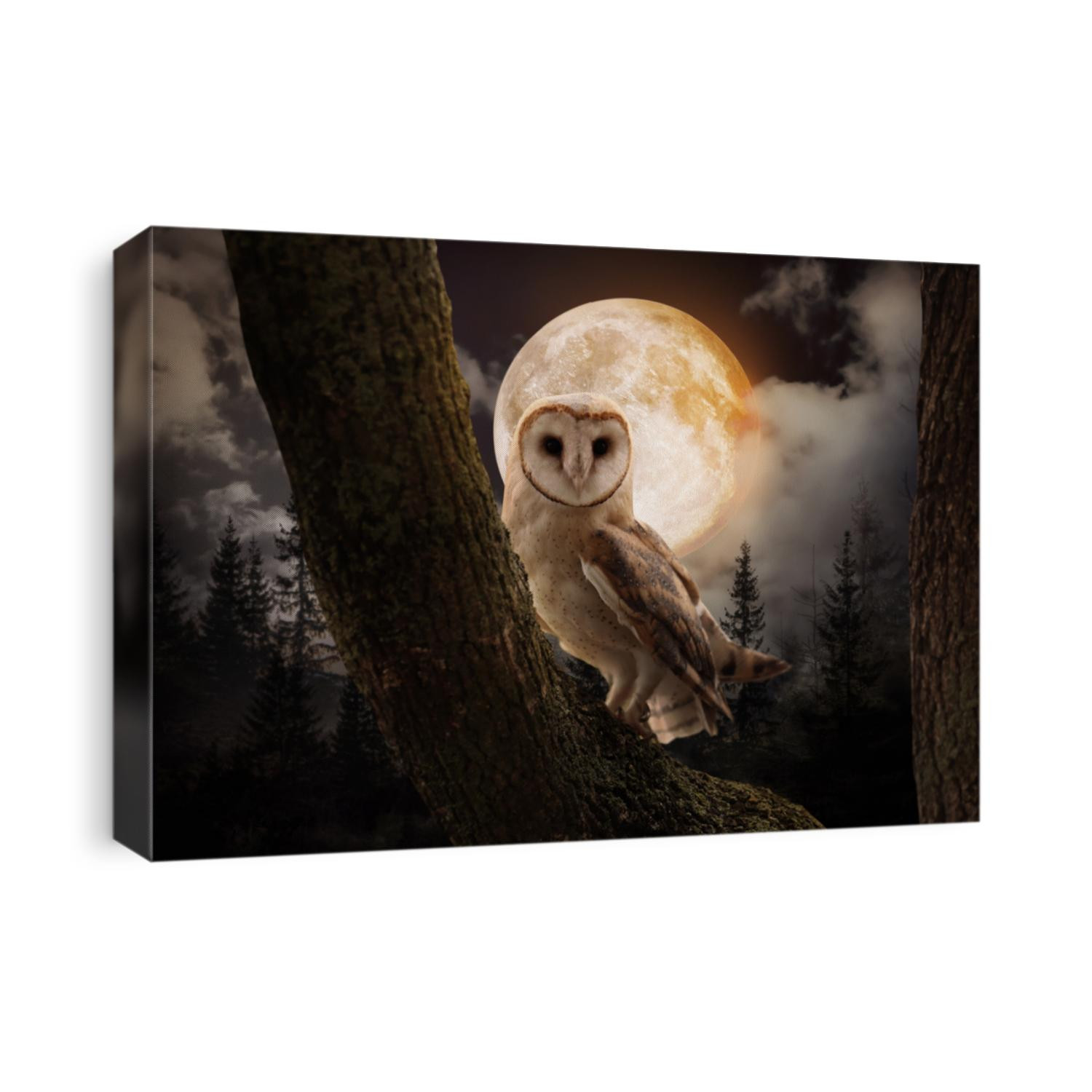 Owl on tree in misty forest under full moon at night