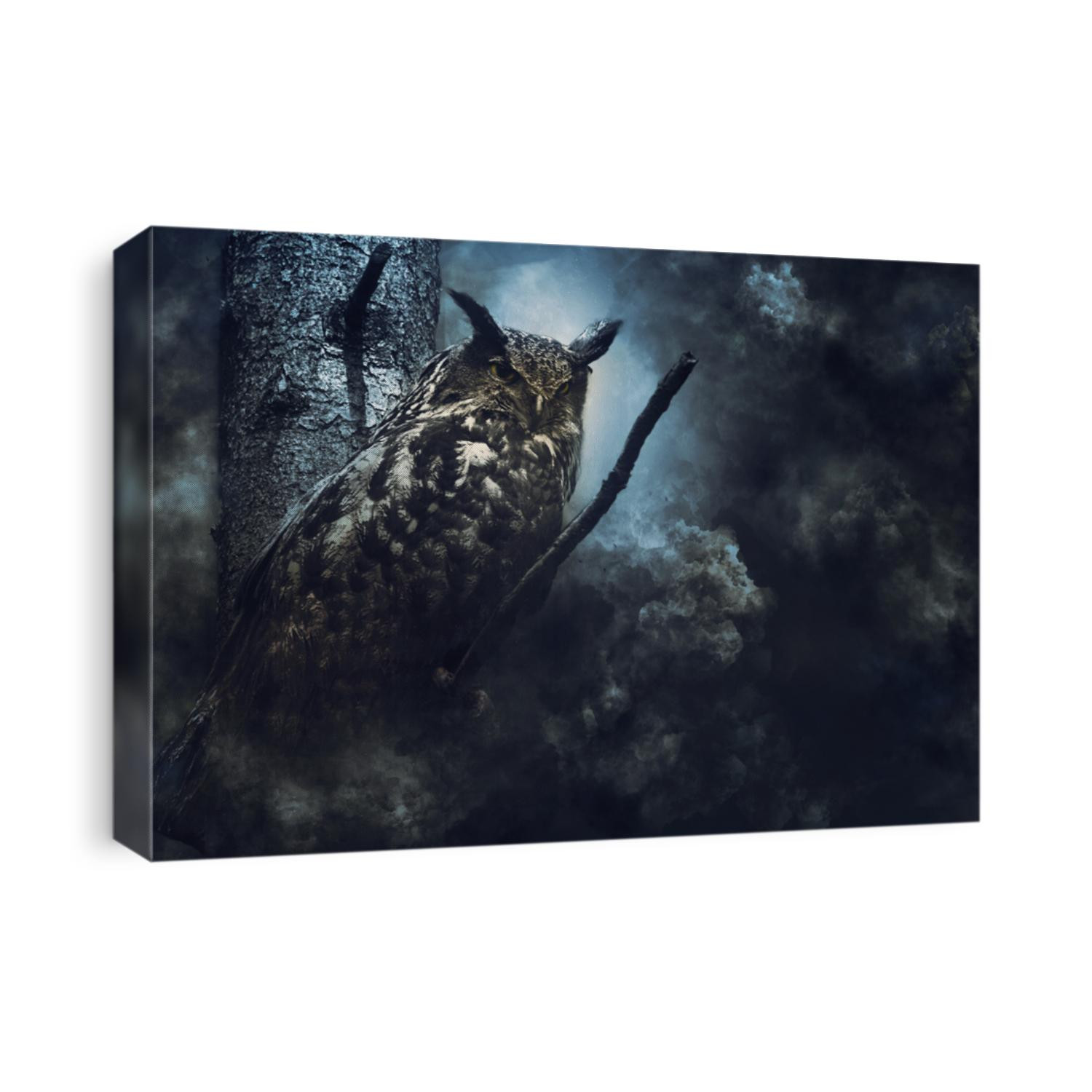 
Eagle owl in the fog