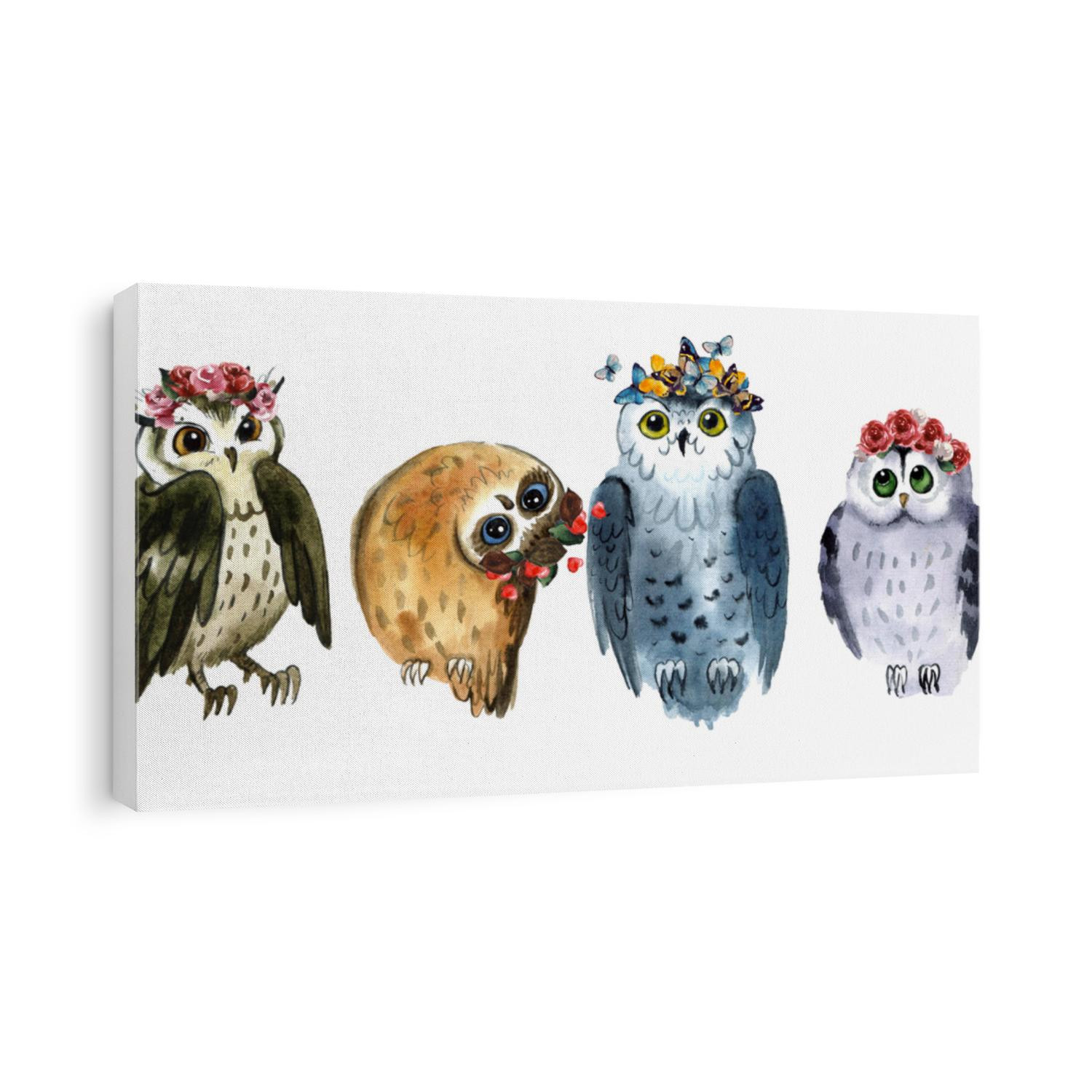Watercolor owls with flowers on the white background