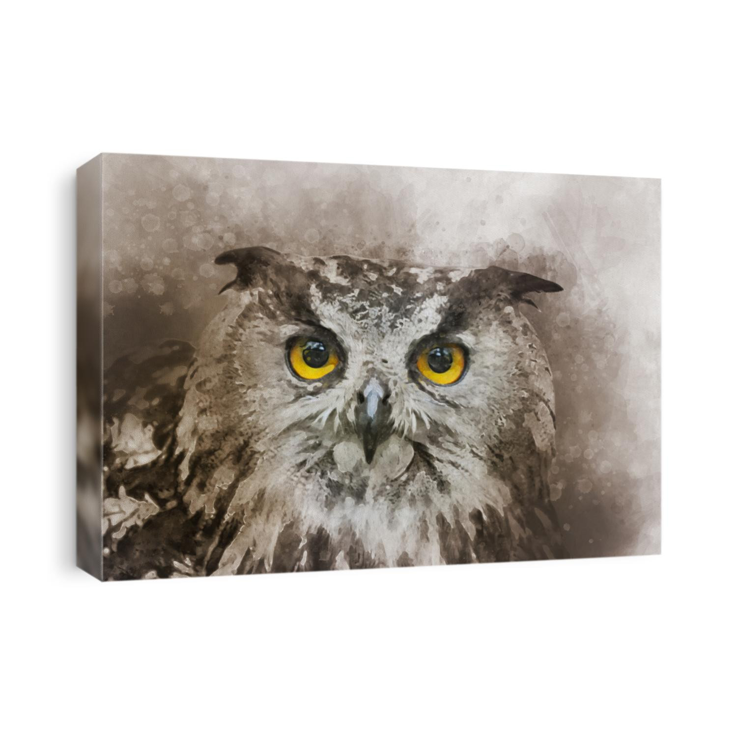 Watercolor owl isolated on white background. Hand drawn watercolor owl perfect for design greeting card or print
