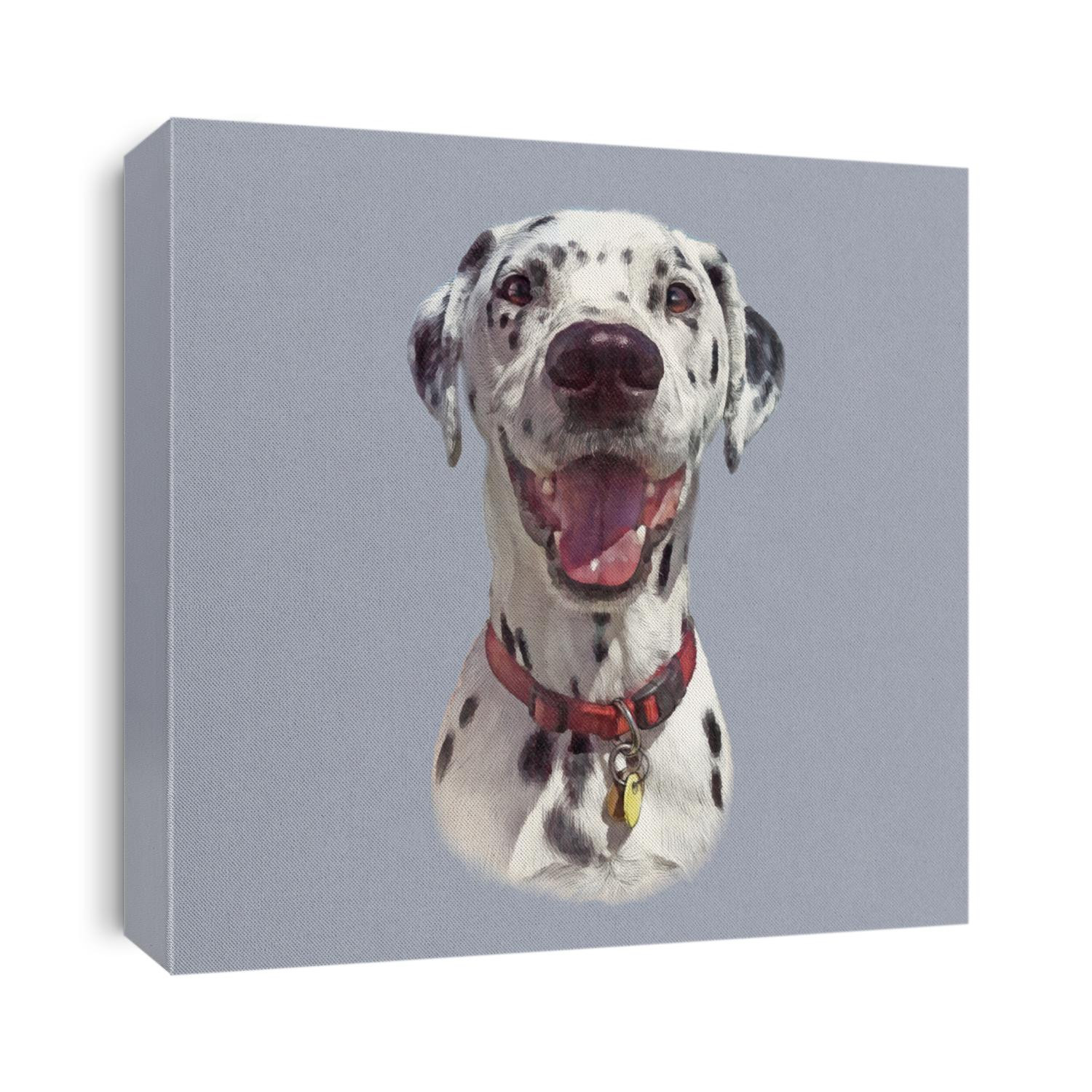 Portrait of Dalmatian dog isolated on grey background. The Dalmatian is a breed of medium sized dog. Popular family pet. Animal collection: Dogs. Hand Painted Illustration of Pets. Design template