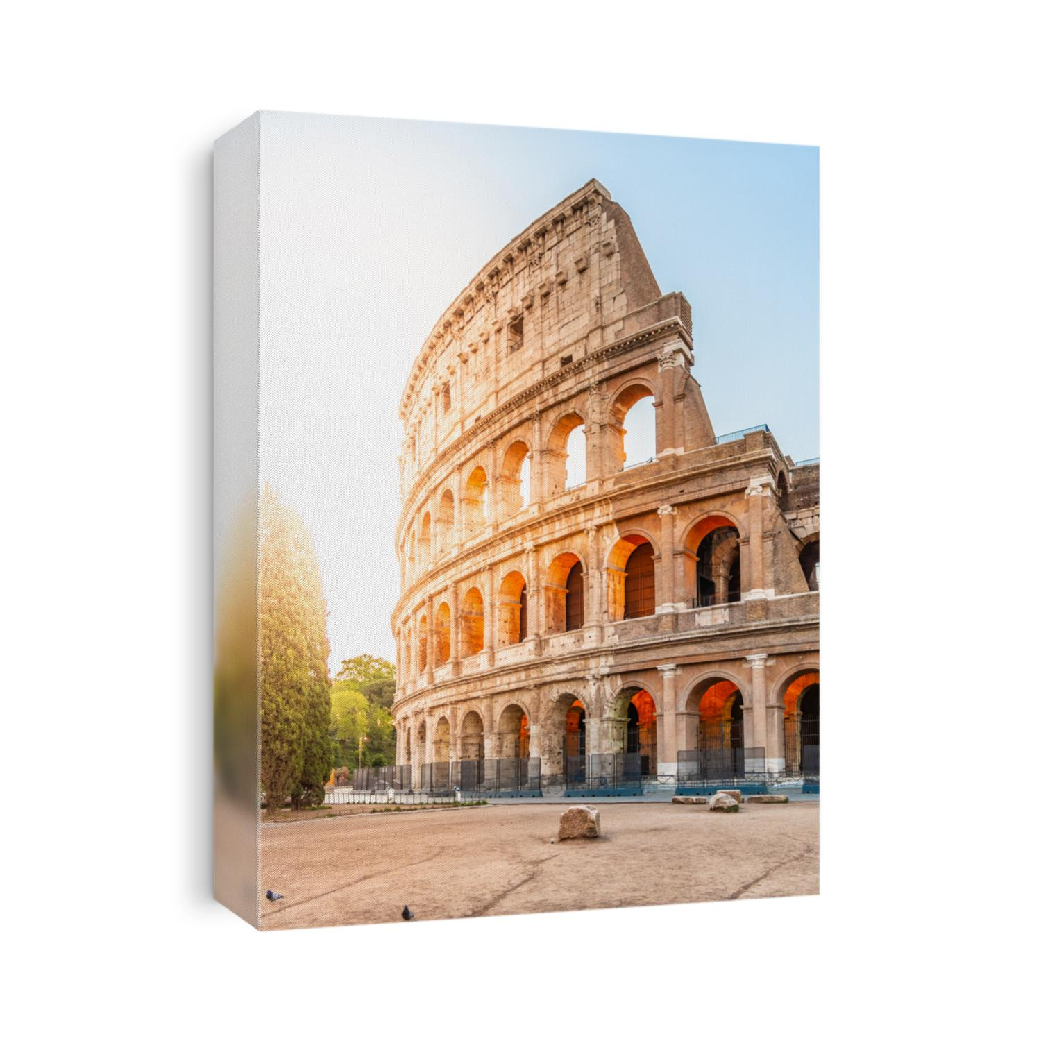 Colosseum, or Coliseum. Morning sunrise at huge Roman amphitheatre, Rome, Italy