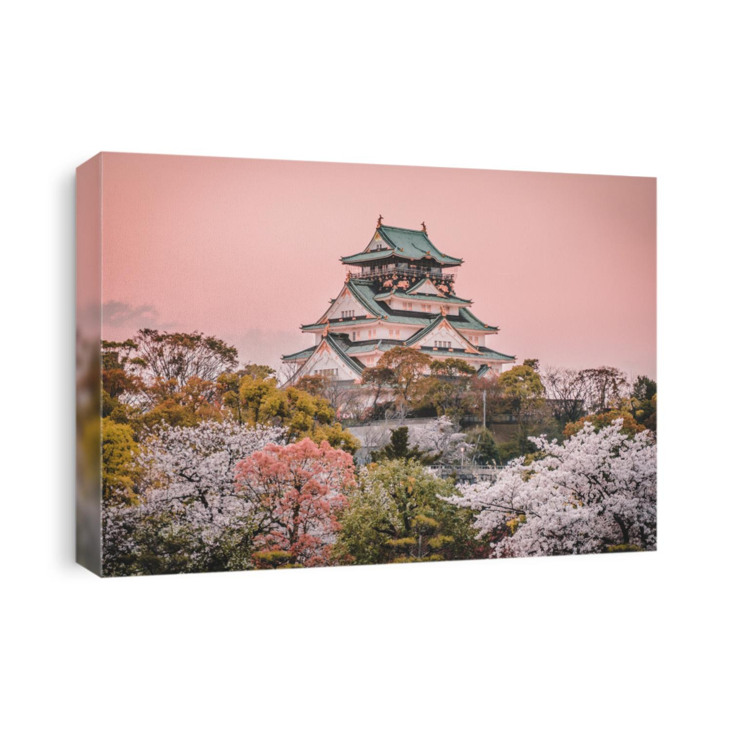 Osaka Castle at sunset, beautiful Japanese temple cherry blossom trees, sakura season, autumn Japan.