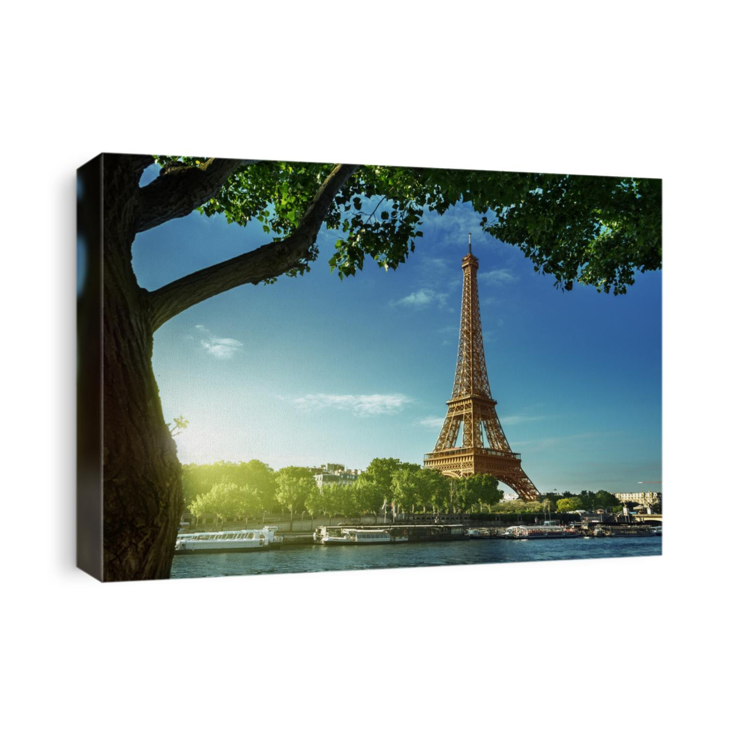 Eiffel tower, Paris. France