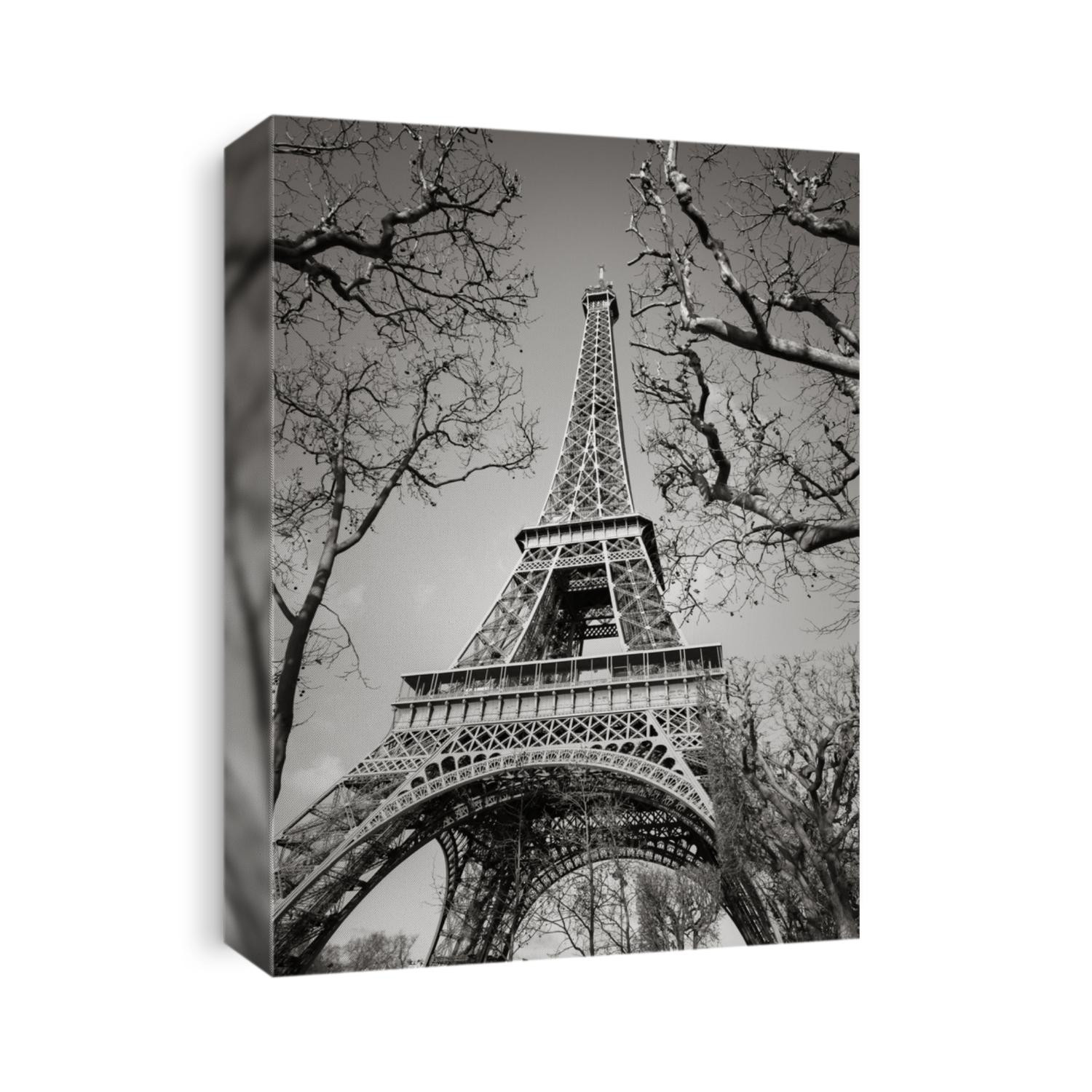 Black and White vertical view of the Eiffel Tower through tree branches on the Champs de Mars, Paris, France